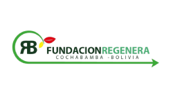 logo fundacion png